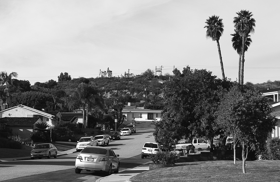Suburban Landscape